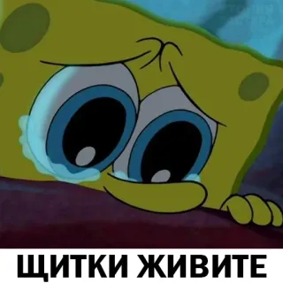 🥺 Spongebob ЩИТКИ ЖИВИТЕ pleurer, triste, spongebob, texte russe, émotion telegram sticker
