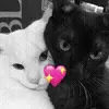 💋