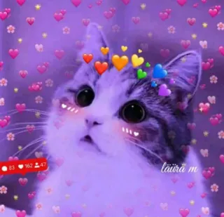 💖 läürä m gatto, cuori, amore, carino, animale domestico, animale telegram sticker