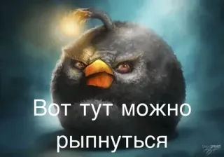 🌟 Вот тут можно рыпнуться vogel, angry birds, cartoon, text whatsapp sticker