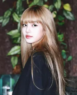 😒 Lisa kpop, 偶像, 歌手, 女性, 肖像 telegram sticker
