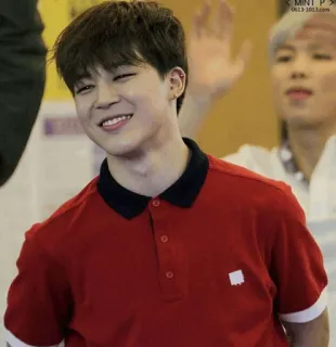 🍃 Jimin MINT P > 0613-1013.com kpop, penyanyi, idola, pria, potret whatsapp sticker