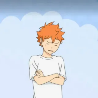 🙄 Hinata Shoyo Haikyuu!! Anime, Hinata, Haikyuu, Shoyo, Charakter, orange Haare telegram sticker