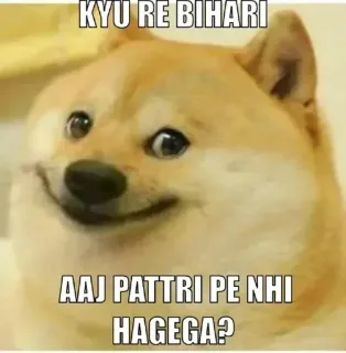 🌚 KYU RE BIHARI
AAJ PATTRI PE NHI HAGEGA? Meme, Doge, Śmieszne, Bihari, Indyjski telegram sticker