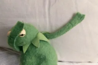 🐸 Kermit Kermit la Rana, Meme, Burattino, Verde, Rana, Peluche telegram sticker
