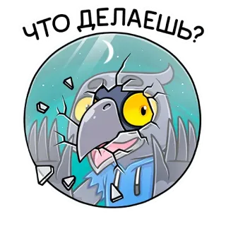 ❓ ЧТО ДЕЛАЕШЬ? eule, vogel, frage, russisch, was machst du telegram sticker