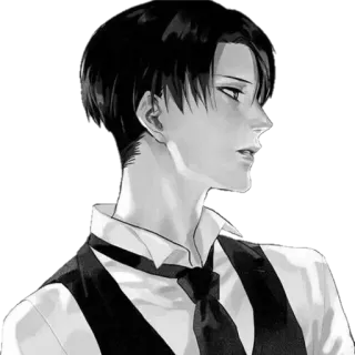 😏 Levi Ackerman Attack on Titan anime, manga, levi, attack on titan, captain levi, ackerman telegram sticker