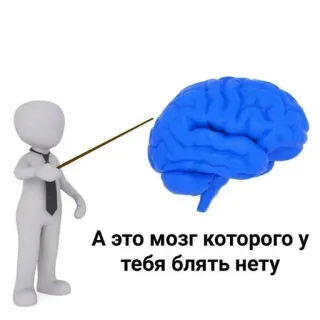 😡 А это мозг которого у тебя блять нету cervello, insulto, cartone animato, figura, diagramma telegram sticker