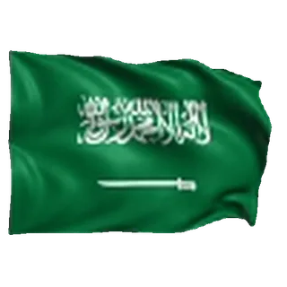 🇸🇦