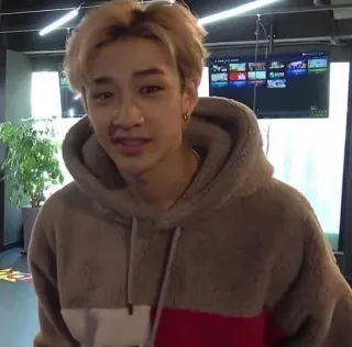 🧸 Bang Chan 韩流, Stray Kids, 偶像, 歌手, 方灿, 名人 telegram sticker