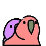 😊 птица, попугай, милый, стикер, неразлучник whatsapp sticker