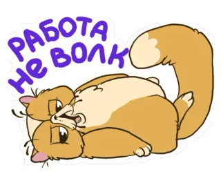 😂 РАБОТА НЕ ВОЛК gatto, russo, proverbio, lavoro, pigro telegram sticker