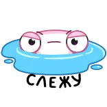 👀 Salty słony, żaba, zrzędliwy, kreskówka, mem, słodki telegram sticker