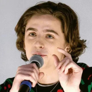 👌 Timothée Chalamet ator, celebridade, Timothée Chalamet telegram sticker