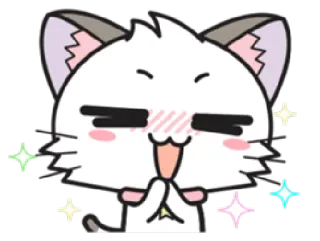 😊 gato, anime, brilhos, fofo, implorando, suplicando, feliz whatsapp sticker