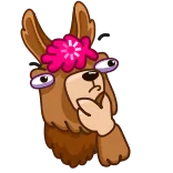 🤔 lama, pensif, fleur, drôle, dessin animé, animal, mignon whatsapp sticker