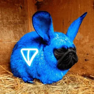 🤩 animal, dog, bunny, hybrid, blue telegram sticker