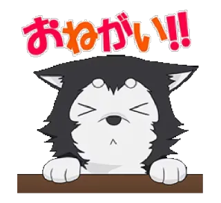 😣 おねがい!! Hund, süß, kawaii, Anime, flehend whatsapp sticker