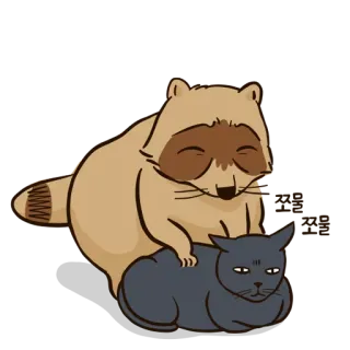 👐 Waschbär, Katze, Tiere, Cartoon telegram sticker