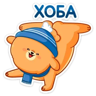 ☺️ ХОБА 熊, 冬天, 帽子, 围巾, 可爱, 动物, 俄罗斯 telegram sticker