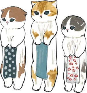 🧺 cat, kitten, cute, animals telegram sticker