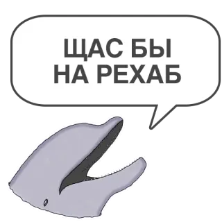 🥬 ЩАС БЫ НА РЕХАБ delfín, rehabilitación, bocadillo, ruso, texto whatsapp sticker