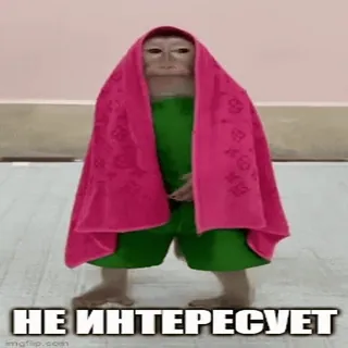 🚀 НЕ ИНТЕРЕСУЕТ monkey, towel, meme, funny, animal telegram sticker