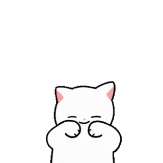 ❤️ chat, mignon, blanc, autocollant, animal, joyeux telegram sticker