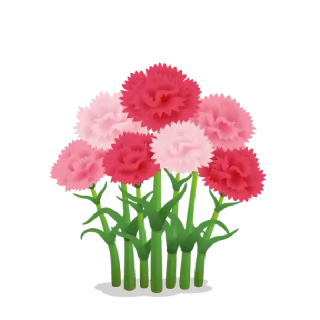 🌸 anjers, bloemen, boeket, roze bloemen, arrangement telegram sticker