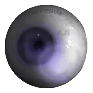 👁