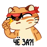 🧐 ЧЁ ЗА?! hổ, giận dữ, câu hỏi, bối rối, động vật, hoạt hình whatsapp sticker