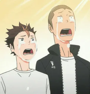 ⚜ Haikyuu!! Anime, Weinen, Emotional, Haikyuu, Nishinoya Yū, Sawamura Daichi telegram sticker