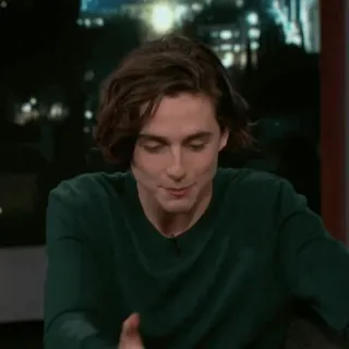 💎 Timothée Chalamet diễn viên, người nổi tiếng, đàn ông, chân dung telegram sticker