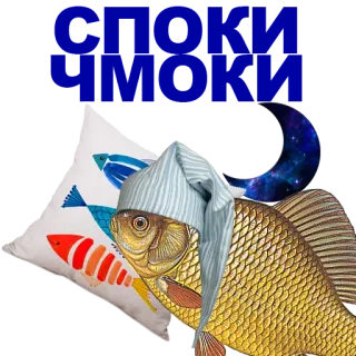 🐠 poisson, sommeil, oreiller, lune, bonnet de nuit whatsapp sticker