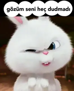🤔 gözüm seni heç dudmadı 토끼, 귀여운, 동물, 만화 whatsapp sticker