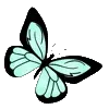 🦋