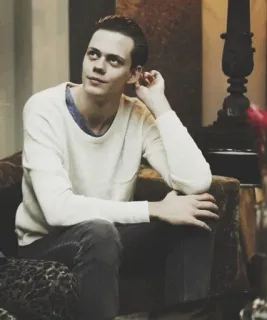 🕸 Bill Skarsgård 俳優, ポートレート, 男性, 有名人 telegram sticker