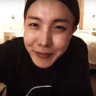 Jung Hoseok “@fuckhopee”⭐️ whatsapp stickers