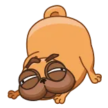 😊 개, 퍼그, 동물, 귀여운, 웃긴 telegram sticker