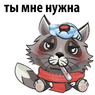 😪 ТЫ МНЕ НУЖНА アライグマ, 病気, 体温計, 体調不良, 漫画, かわいい, 動物, フレーズ, ロシア語 telegram sticker