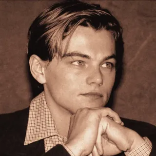 🌻 Leonardo DiCaprio actor, celebrity, portrait, Leonardo DiCaprio telegram sticker