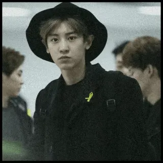🗞 Chanyeol Chanyeol, EXO, K-pop, idol, celebrity, singer whatsapp sticker