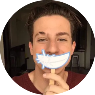 🤗 Charlie Puth singer, musician, celebrity, portrait, smile telegram sticker