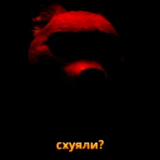 🦊 схуяли? offensive, swear word, russian, question whatsapp sticker