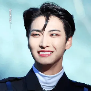 ✨ Special Boy kpop, nam, thần tượng, ca sĩ, đàn ông, người nổi tiếng telegram sticker