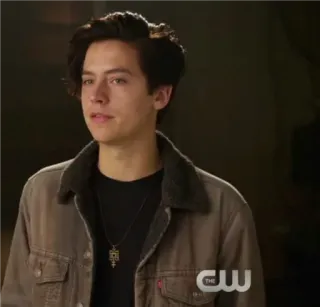 🖤 Jughead Jones Riverdale Riverdale, Jughead Jones, Cole Sprouse, Série de TV, Drama adolescente, Personagem, Retrato telegram sticker