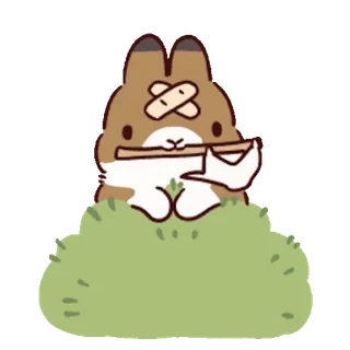 ๐ณ๏ธ Molang telegram sticker