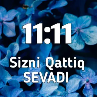 ❤️ 11:11
Sizni Qattiq SEVADI zahl, 11:11, liebe, botschaft, blaue blumen whatsapp sticker