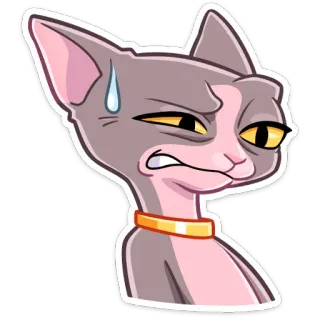 😅 cat, sphynx cat, sticker, cartoon, emotion, sweat, funny, animal telegram sticker