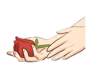 🌹 장미, 꽃, 사랑, 선물, 손, 로맨틱 whatsapp sticker